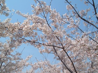 B7EE301F-A13D-499D-8C7F-CCFDE0811EFB/L0/001