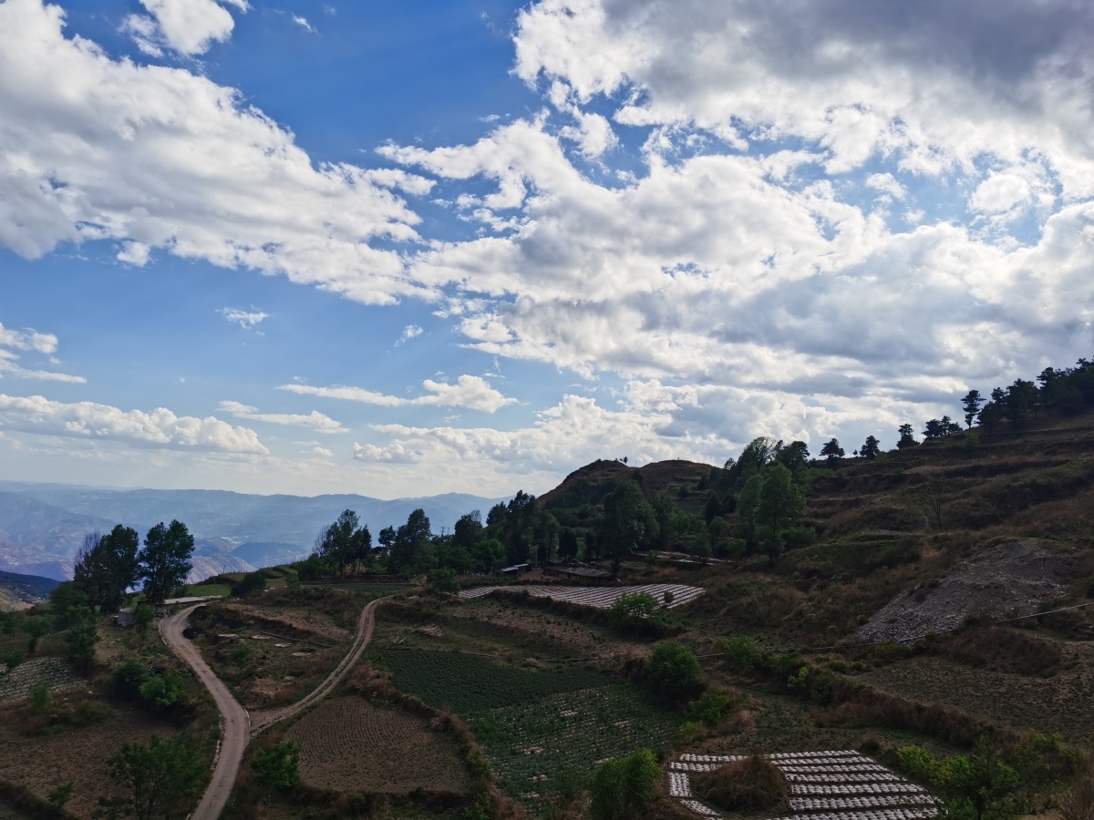 东川牯牛寨山