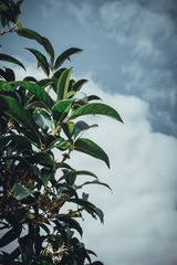 F85622C2-9348-4FFD-A5C8-549B0E948B36/L0/001