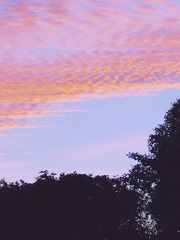 506919DF-CC70-4BF2-A5D5-5181CD936B62/L0/001
