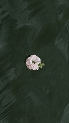 967F8E98-79DA-4909-8FB1-4A17E537AC0E/L0/001