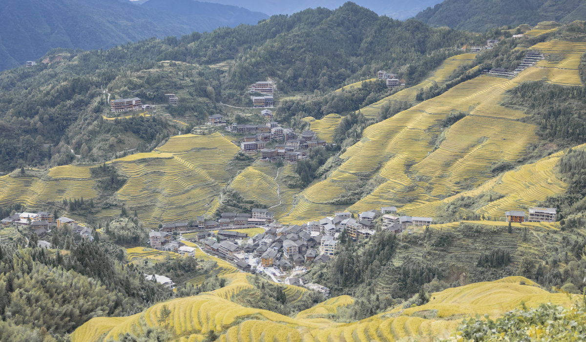 桂林龙胜梯田金坑大寨