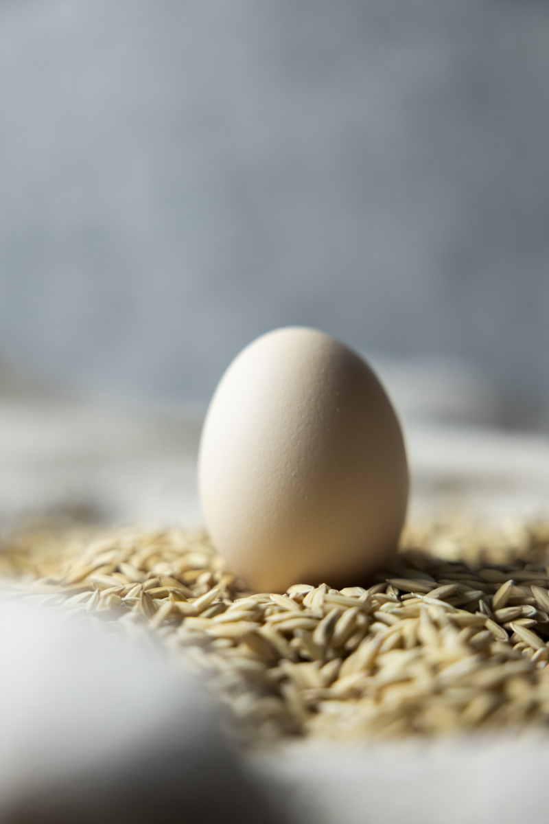 静物摄影鸡蛋