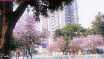 0776F2AA-C109-48F2-ADF1-D8FB16F4F4FF/L0/001