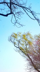 1C561A99-26A8-4D79-81CF-BA064FBA6F2C/L0/001