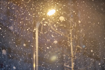 8AB2B7BA-931F-4B72-ADF2-D473386149E2/L0/001