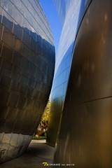 Walt disney Concert Hall-80