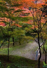 JAPAN-002