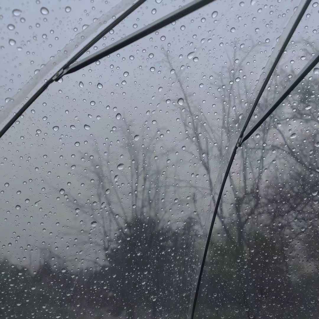 3月26日星期五邯郸复兴区空气质量良湿度91916阵雨