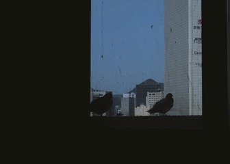 A620D015-99A9-4E96-A305-3C153C59BA07/L0/001