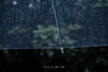 063EEAE6-F55D-40ED-BEF4-4774CF6CBF51/L0/001