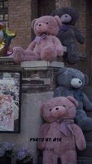 99B08772-AE82-466F-94D9-38E060AA4B37/L0/001