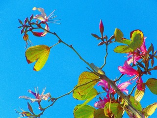 F6E95970-4B98-4518-BA4E-F8AB06AA7E49/L0/001