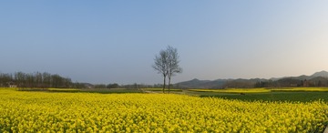 58030