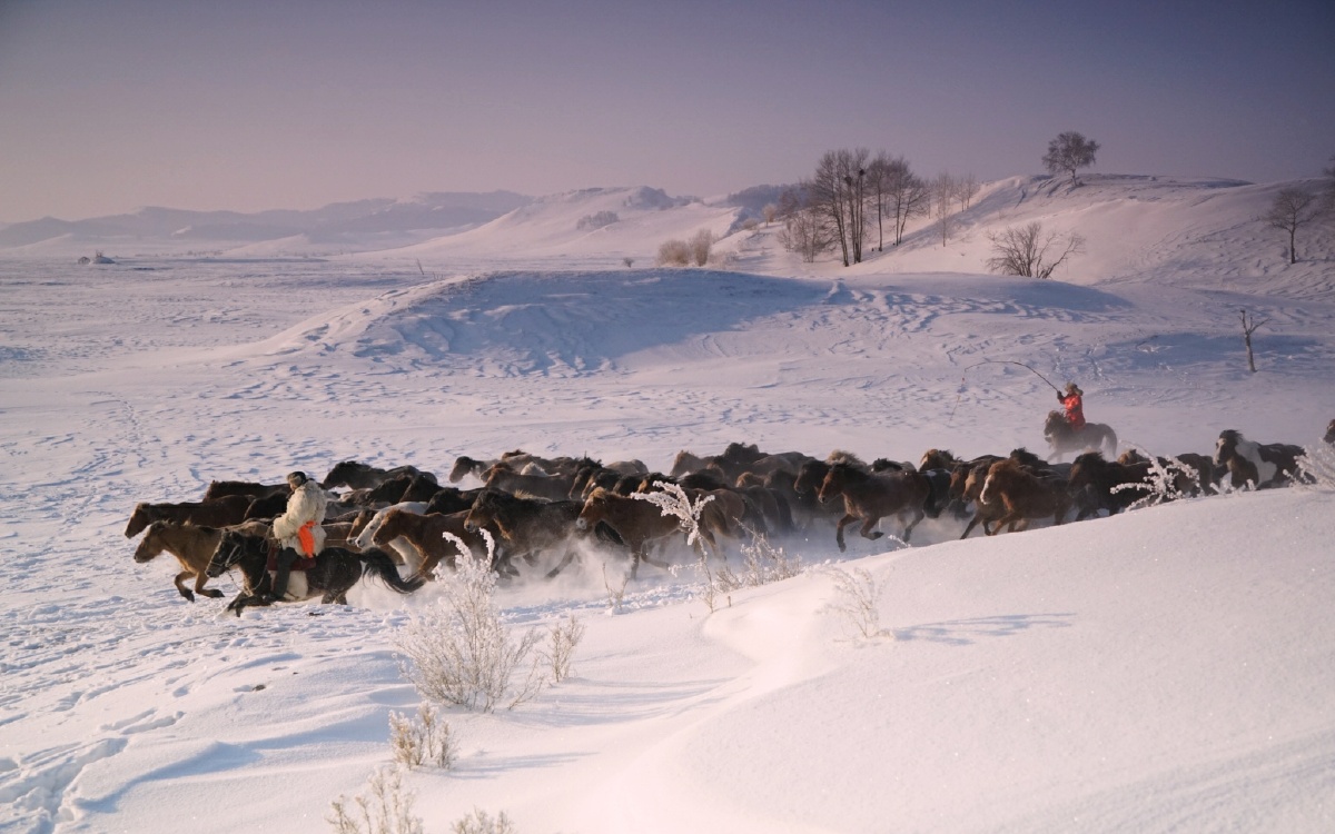 乌兰布统61冬牧