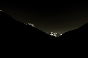 12006