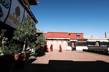 12009