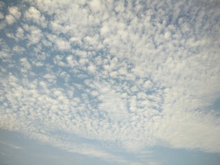 4B4322ED-7C78-4A58-8171-A6A52F830730/L0/001