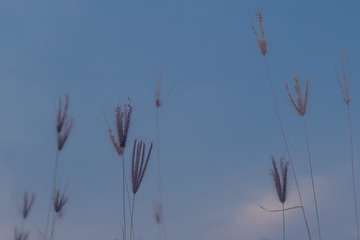 2218C07C-1AF9-4363-9D19-CECDF1BBD670/L0/001
