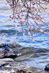 BFED2D82-D740-46FA-9231-F28B1EA432FA