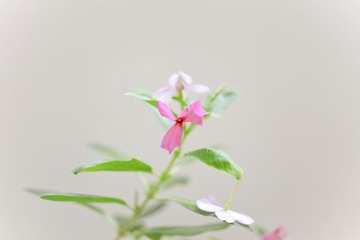 。
