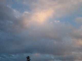 44886