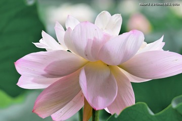 F3E71727-70EF-4885-914A-23F986F55D29/L0/001