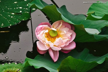 89FE5C50-8A92-4CF5-B119-55656EEFD401/L0/001
