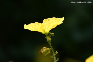 F071F2E8-B670-40E6-96A1-F1A06BC3AFB4/L0/001