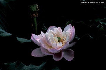DE8C7470-6933-4D34-B60C-A2F9A8403F77/L0/001
