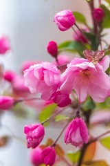 DD2BC17E-2D01-45B1-B46B-4B74BACF1625/L0/001