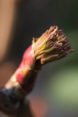 237CA925-AB43-48B3-8EF4-FD3E2E5FA933/L0/001