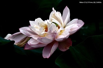 B153663B-A9A8-4B53-BF11-B702971A5E5B/L0/001