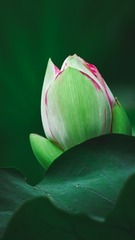 001