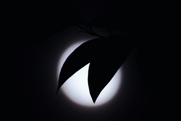 0B390468-4AD2-406B-8EF0-B3DE19C4D4FC/L0/001