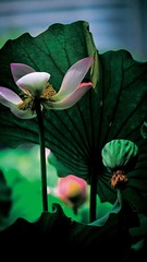 001