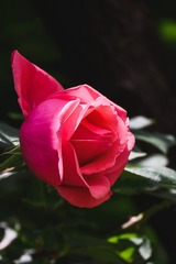 56423E81-BF5F-44E3-BA09-967643C061B7/L0/001