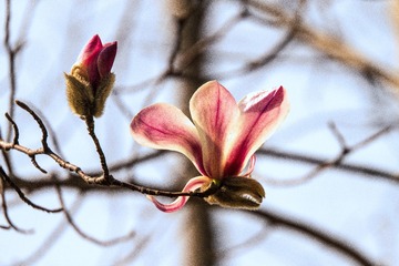 48456819-62B7-44B8-A6AE-2DDD1FBB9718/L0/001