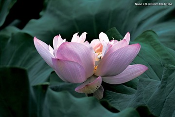 861D804C-8EC7-41E7-BBD8-99C8CCD6F50D/L0/001