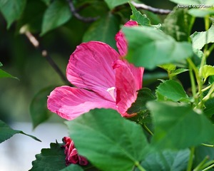 AA949A2E-68B0-4B89-90FD-7D04E3743477/L0/001