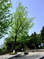 CFE751B2-196F-4F2F-A57C-B0AE204266EA/L0/001