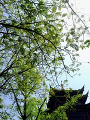 25D3DCDF-A706-4CD7-B861-45C12C8142B2/L0/001