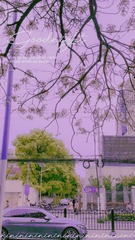 AE27CEC4-1091-40F2-81B9-3D7B346FDAC7/L0/001