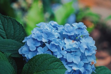 B5EB76C6-93FB-4B15-A253-3C6E884D934A/L0/001