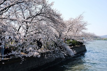 F09F8948-E477-4C34-AE80-CE00FB8A0C23/L0/001