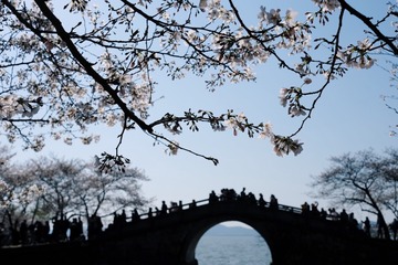 5DC45B95-F3E5-4C0C-88F1-577E33550488/L0/001