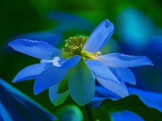 1D6D8B48-57FF-4BF9-ABFB-864A6ADBC2BF/L0/001