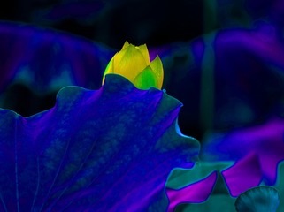 39F74230-1B4C-4CC5-A1BA-616F19CEBEA6/L0/001