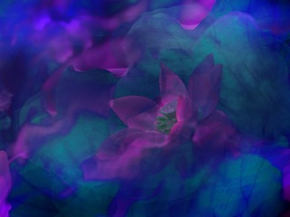 2D88C0EF-55E0-4796-AECD-9E47F84BFA06/L0/001
