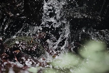 4E7F355B-AE63-42A5-86F8-2B0DD6428D2A/L0/001
